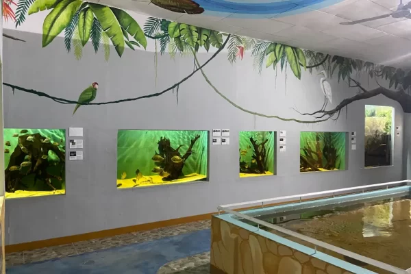 El-Aquario-del-Amazonas (1)