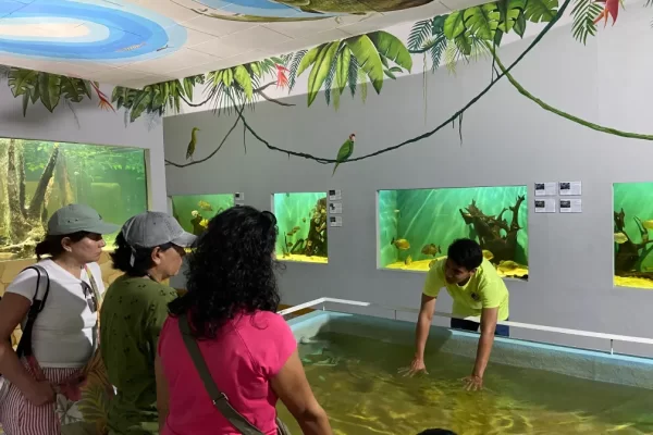 El-Aquario-del-Amazonas (16)