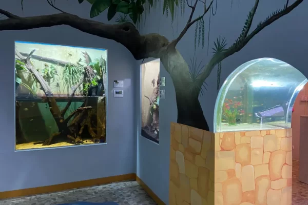 El-Aquario-del-Amazonas (17)
