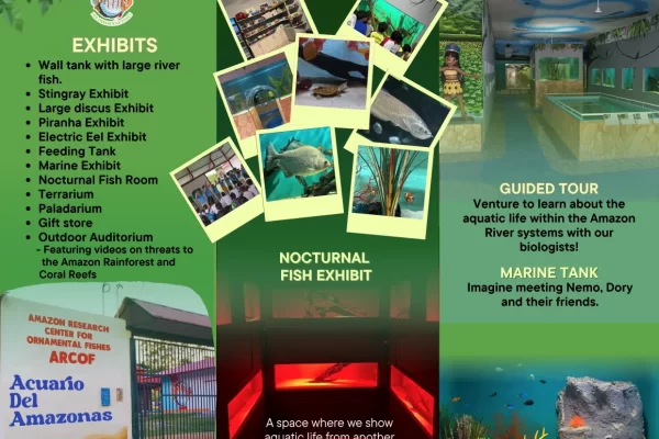 El-Aquario-del-Amazonas (20)